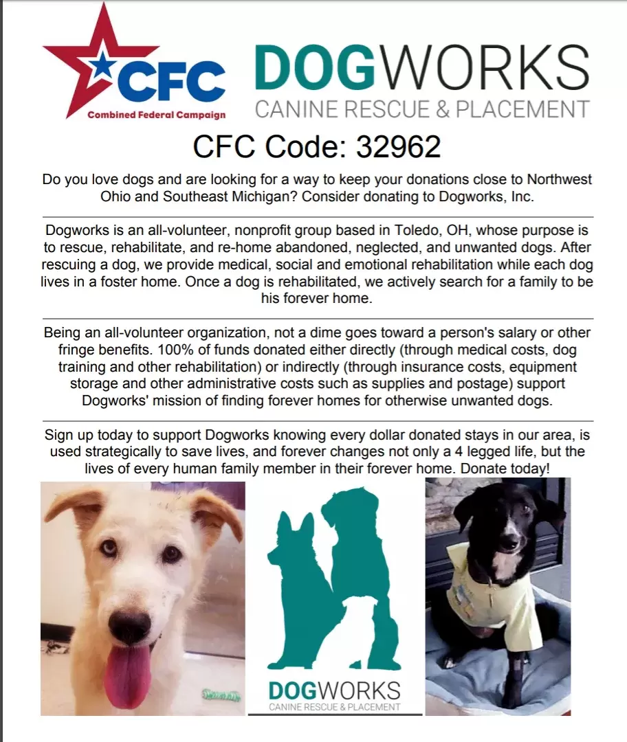 DOGWORKS, INC. CANINE RESCUE AND PLACEMENT - Home